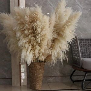Elegant Cream Pampas Grass Decor